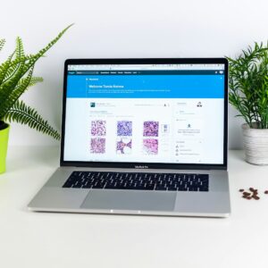 Business Website - Growth